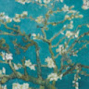 Meet your Posher, Ashka